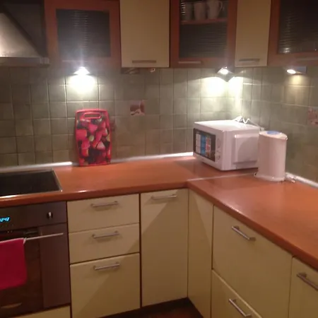 Capital Riga Apartment - Dzirnavu Street Apartment Riga